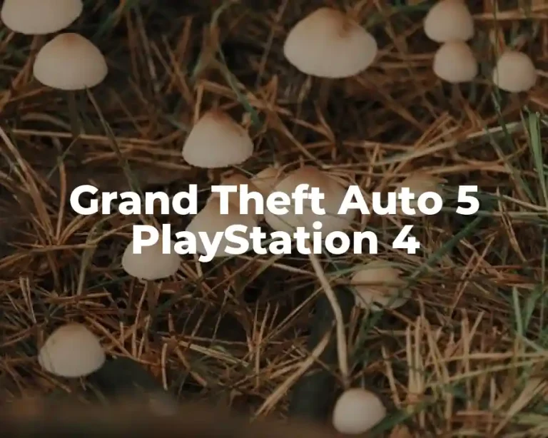 Grand Theft Auto 5 PlayStation 4