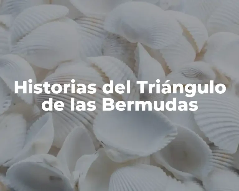 Historias del Triángulo de las Bermudas