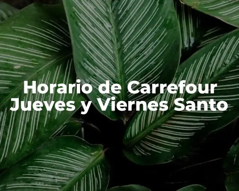 Horario de Carrefour Jueves y Viernes Santo
