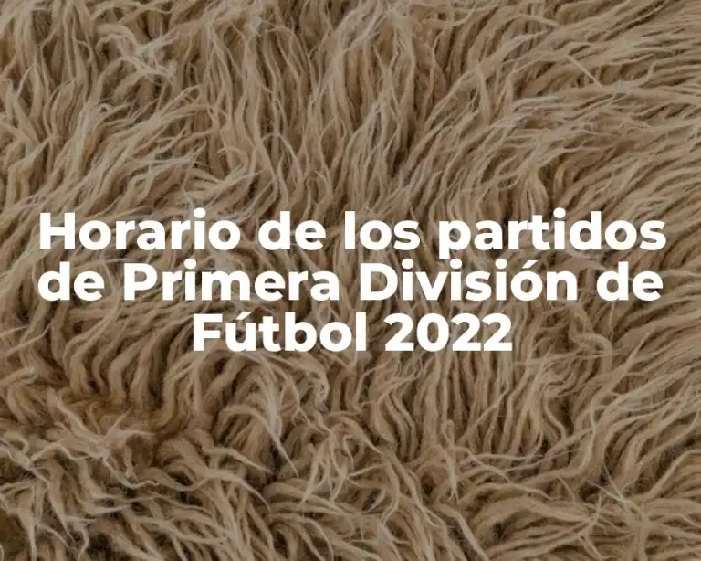Horario de los partidos de Primera División de Fútbol 2022