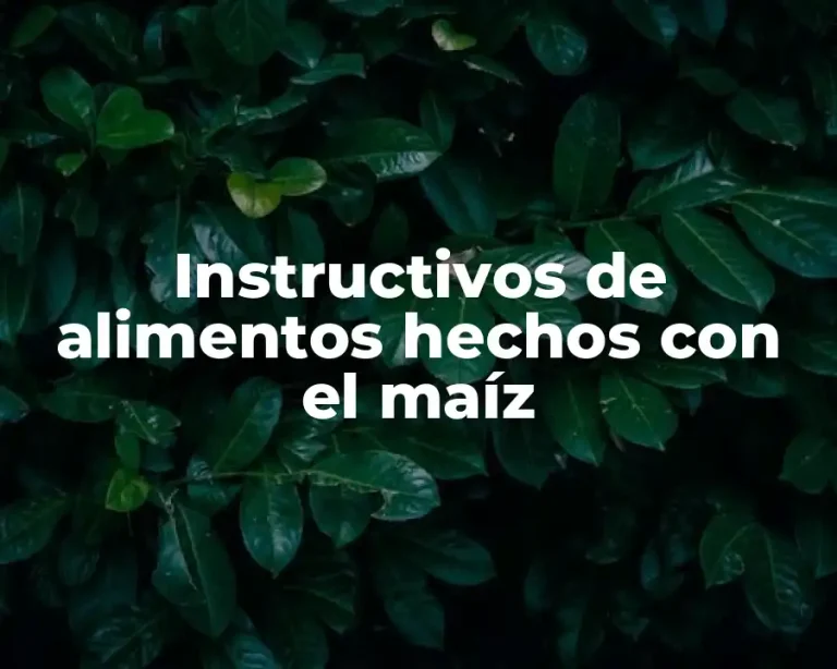 Instructivos de alimentos hechos con el maíz