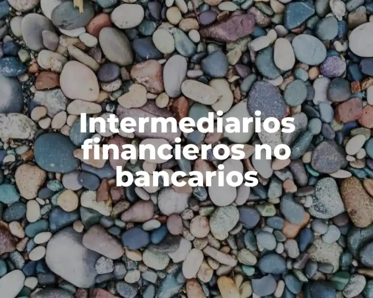 Intermediarios financieros no bancarios