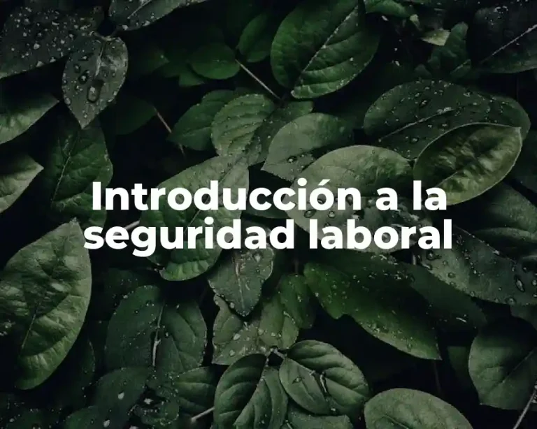 Introducción a la seguridad laboral