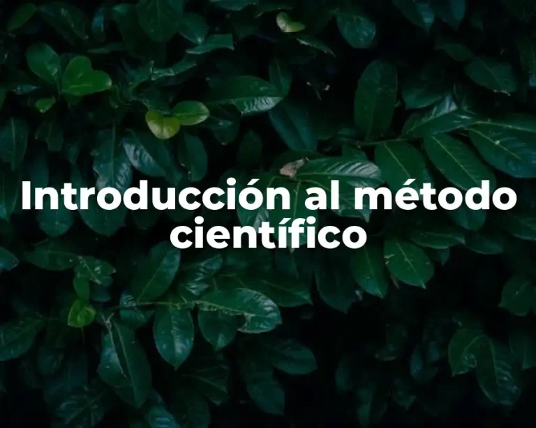 Introducción al método científico