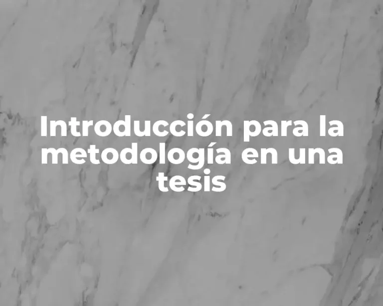 Introducción para la metodología en una tesis