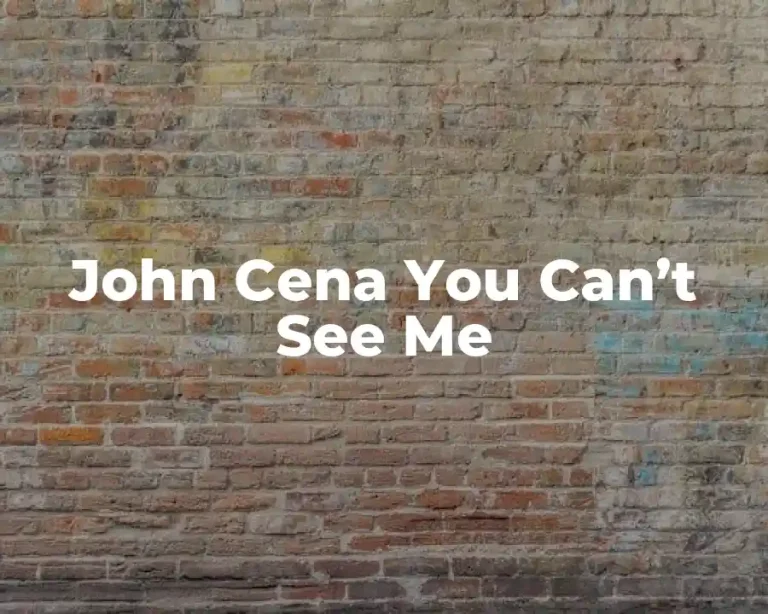 John Cena You Can’t See Me