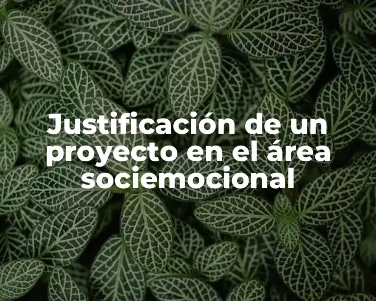 Justificación de un proyecto en el área sociemocional