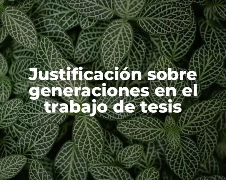 Justificación sobre generaciones en el trabajo de tesis