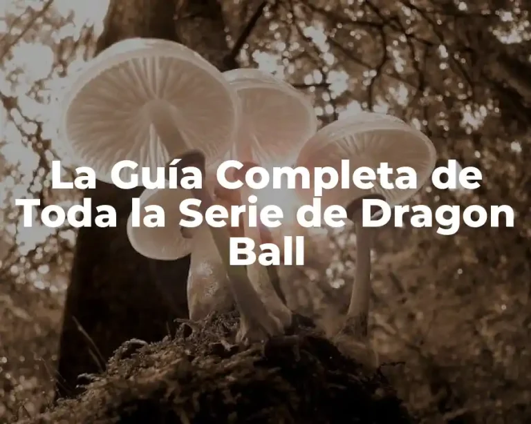 La Guía Completa de Toda la Serie de Dragon Ball