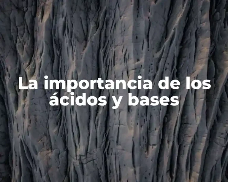 La importancia de los ácidos y bases