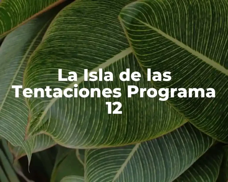 La Isla de las Tentaciones Programa 12