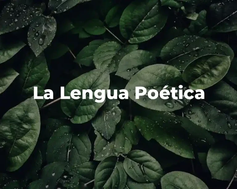 La Lengua Poética