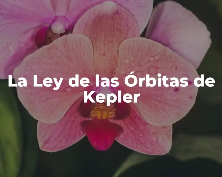 La Ley de las Órbitas de Kepler