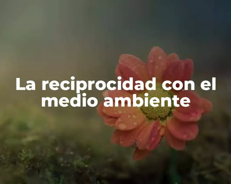 La reciprocidad con el medio ambiente