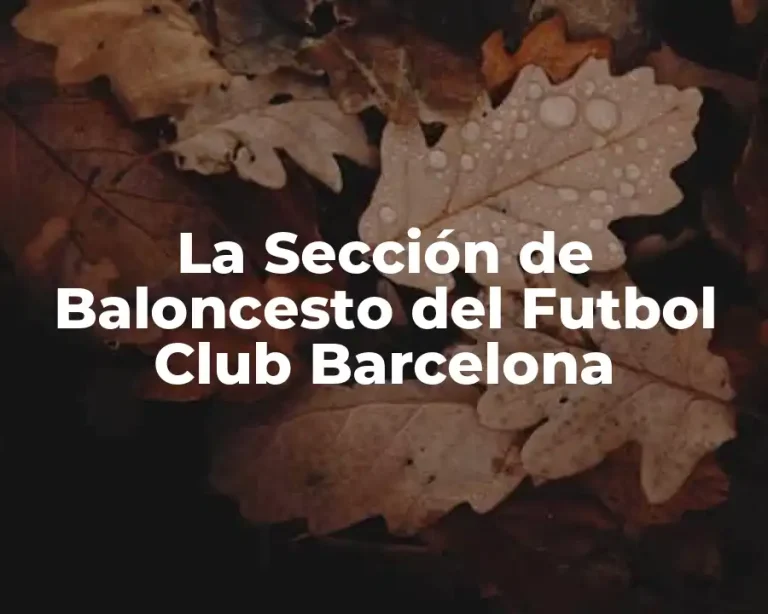 La Sección de Baloncesto del Futbol Club Barcelona