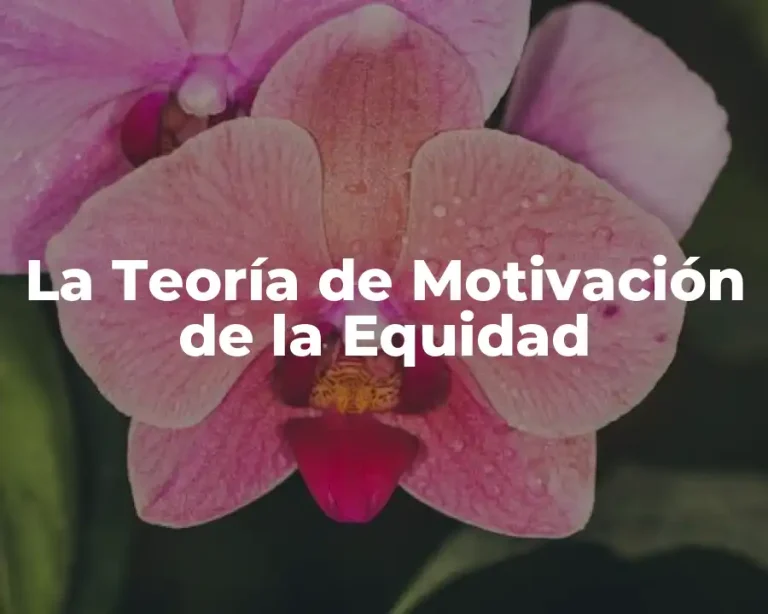La Teoría de Motivación de la Equidad
