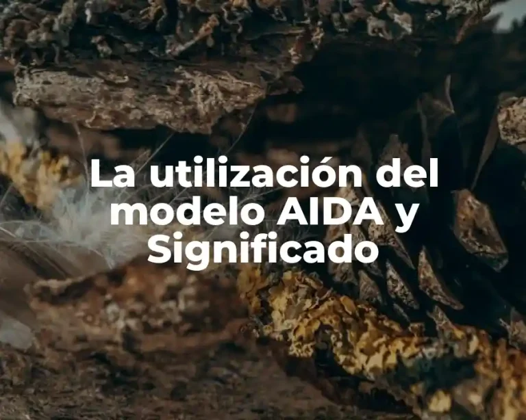 La utilización del modelo AIDA y Significado
