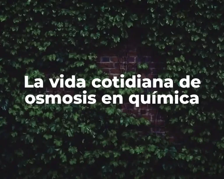 La vida cotidiana de osmosis en química