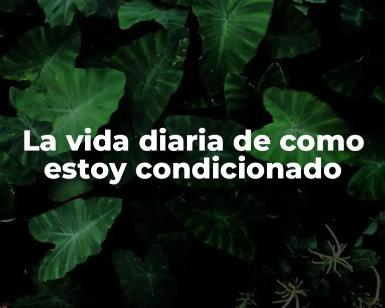 La vida diaria de como estoy condicionado