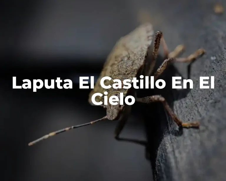 Laputa El Castillo En El Cielo