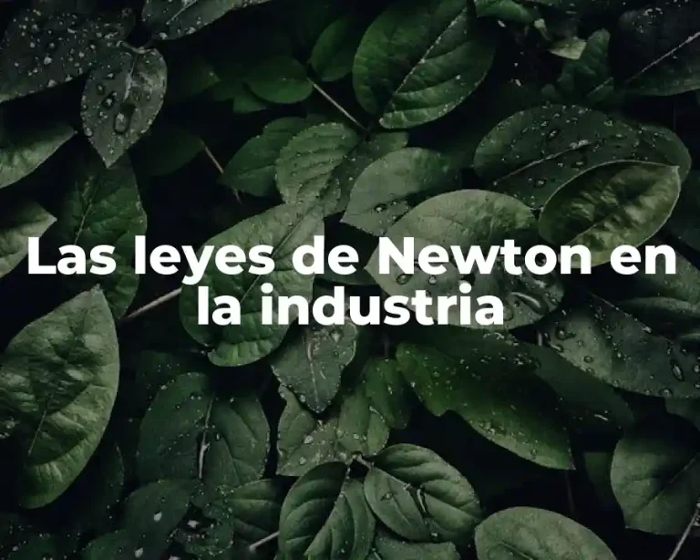 Las leyes de Newton en la industria