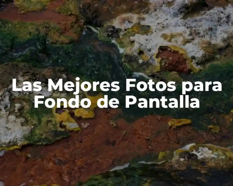 Las Mejores Fotos para Fondo de Pantalla