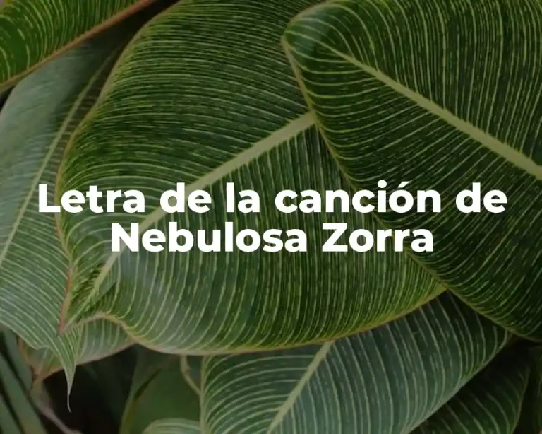 Letra de la canción de Nebulosa Zorra