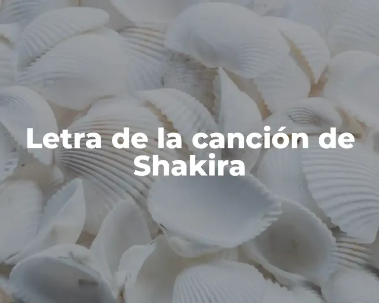 Letra de la canción de Shakira