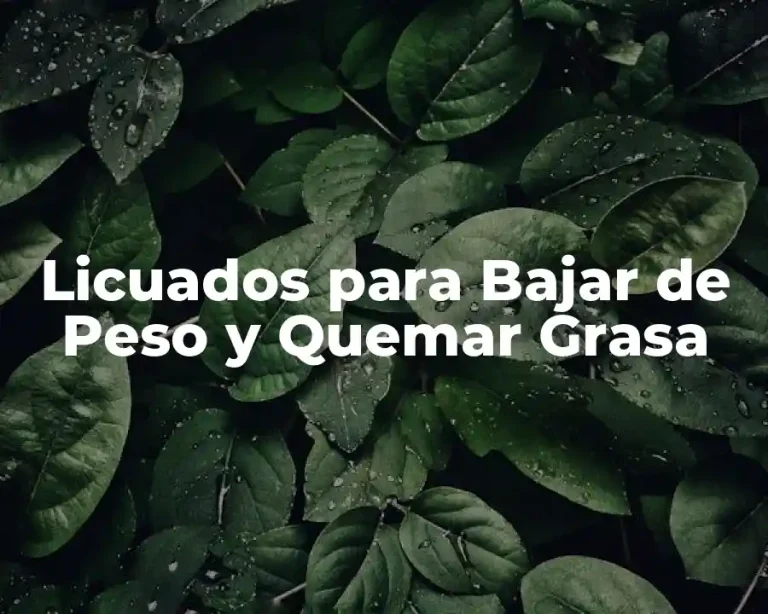 Licuados para Bajar de Peso y Quemar Grasa