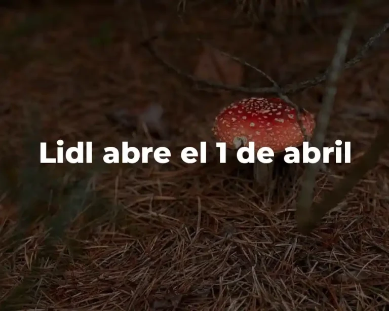 Lidl abre el 1 de abril