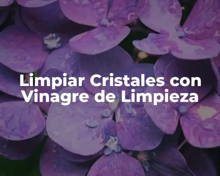 Limpiar Cristales con Vinagre de Limpieza