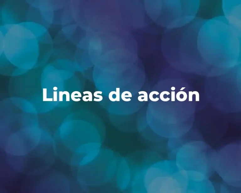 Lineas de acción