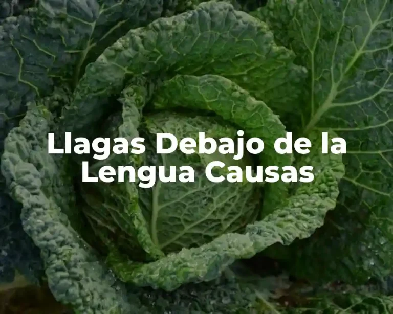Llagas Debajo de la Lengua Causas