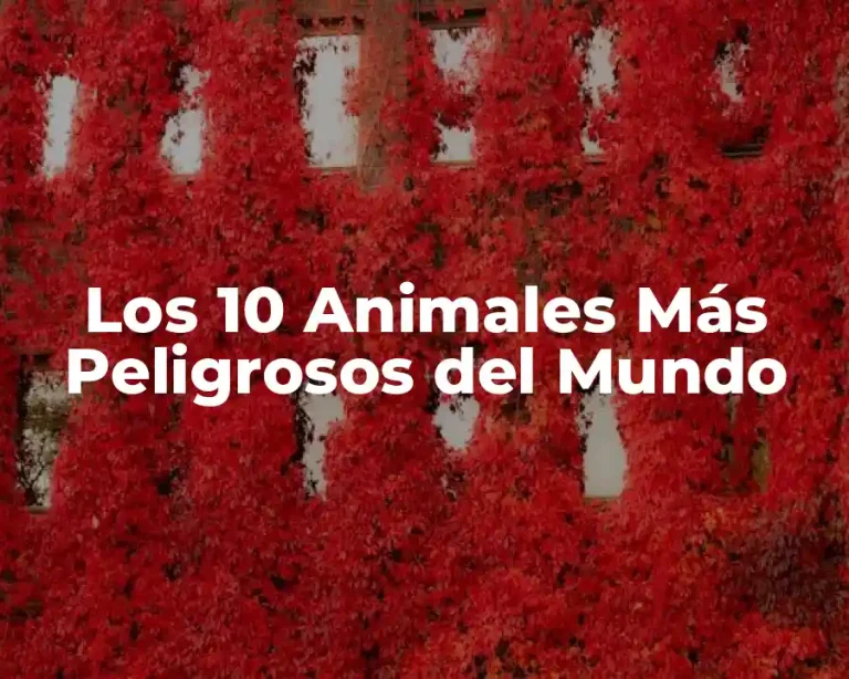 Los 10 Animales Más Peligrosos del Mundo