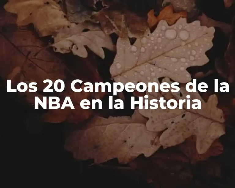 Los 20 Campeones de la NBA en la Historia