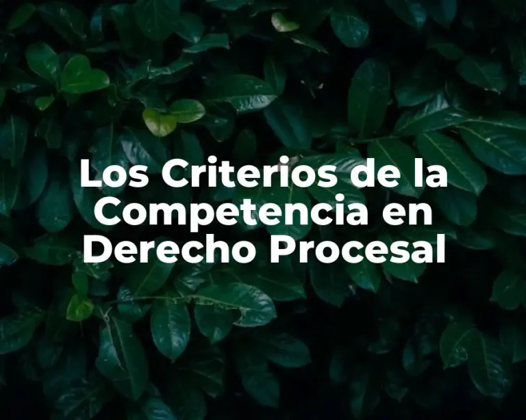 Los Criterios de la Competencia en Derecho Procesal