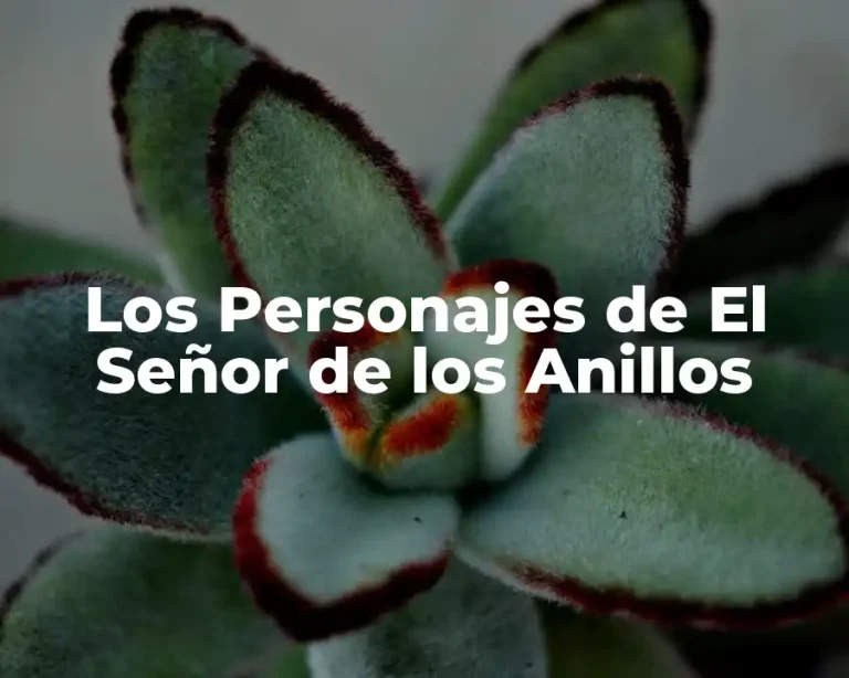 Los Personajes de El Señor de los Anillos