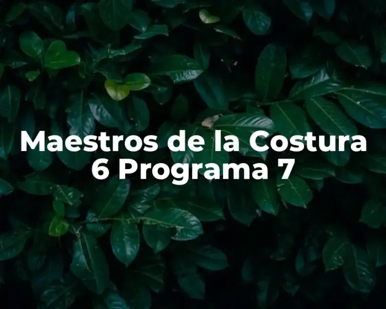 Maestros de la Costura 6 Programa 7