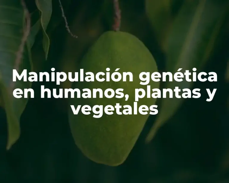 Manipulación genética en humanos, plantas y vegetales