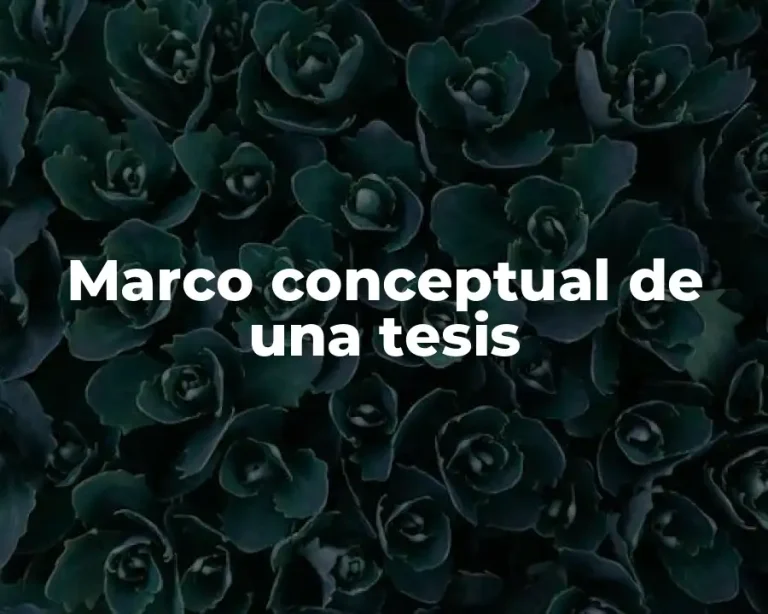Marco conceptual de una tesis