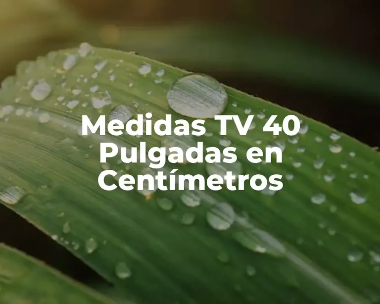 Medidas TV 40 Pulgadas en Centímetros
