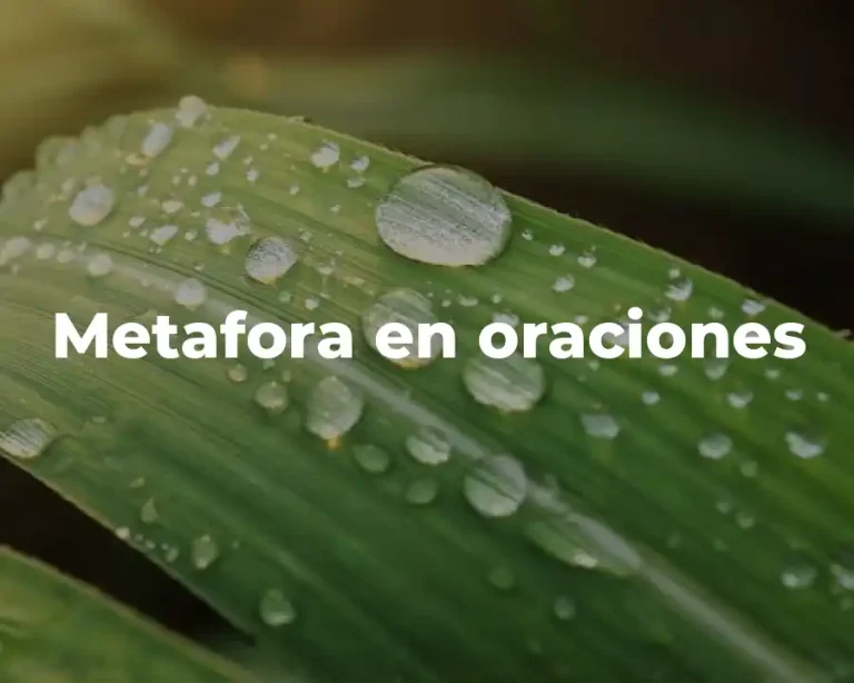 Metafora en oraciones