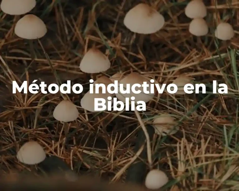 Método inductivo en la Biblia