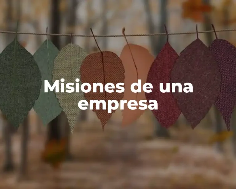 Misiones de una empresa