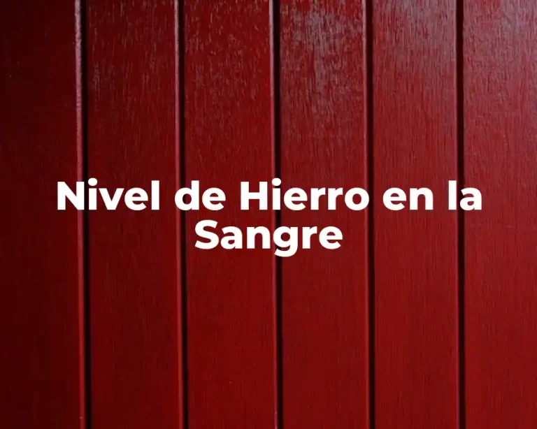 Nivel de Hierro en la Sangre