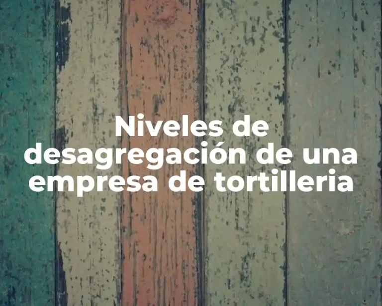 Niveles de desagregación de una empresa de tortilleria