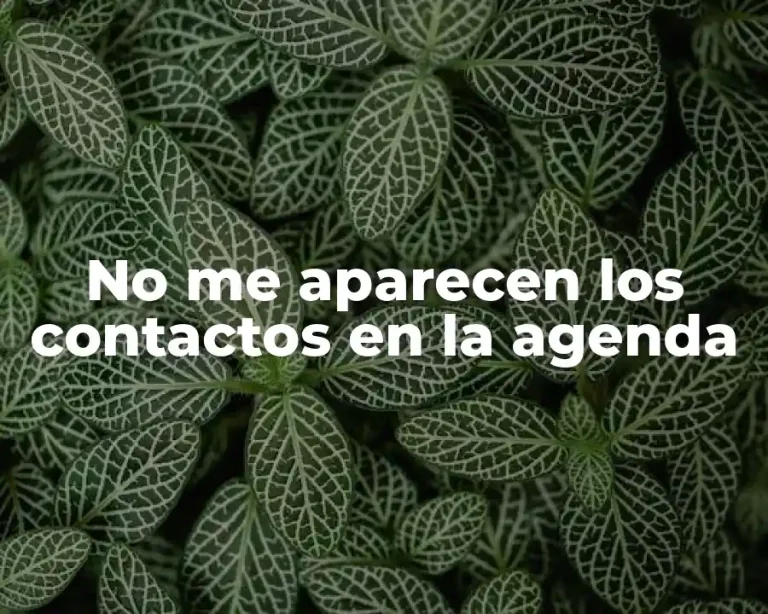 No me aparecen los contactos en la agenda