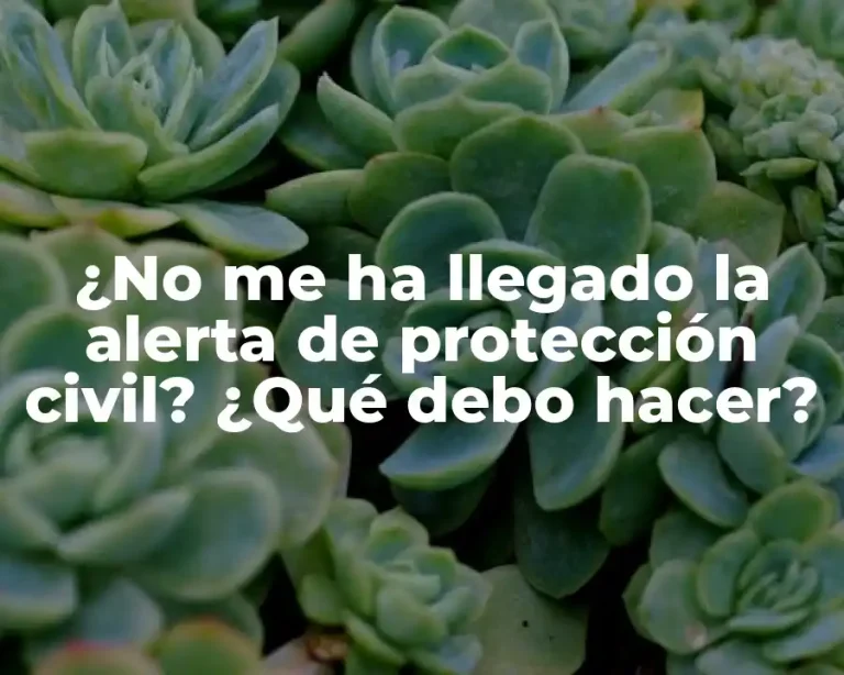 ¿No me ha llegado la alerta de protección civil? ¿Qué debo hacer?