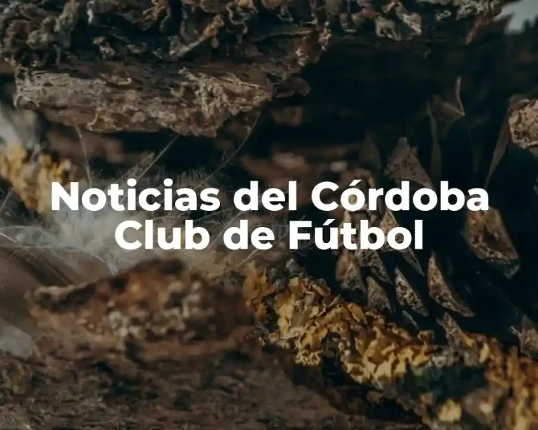 Noticias del Córdoba Club de Fútbol