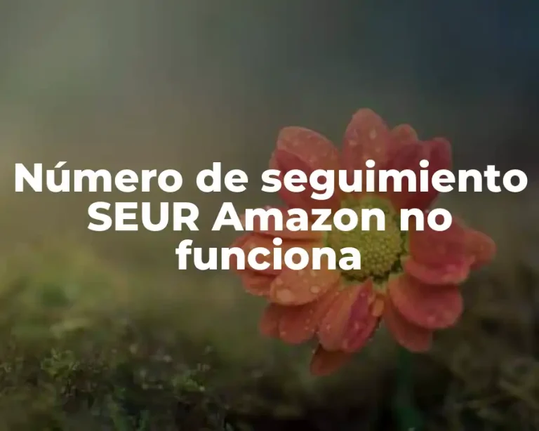 Número de seguimiento SEUR Amazon no funciona